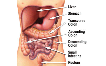 GI Onco Surgeon in Ahmedabad, Gujarat