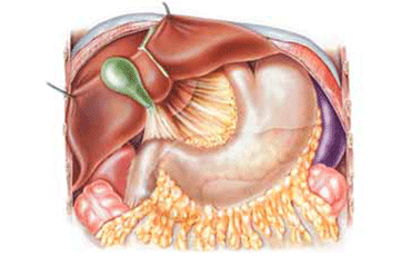 Hepatic Surgeon in Ahmedabad